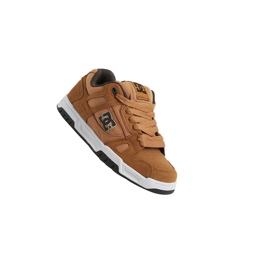 Homme Brown White Botte Hiver DC Stag - france QYB-9265188