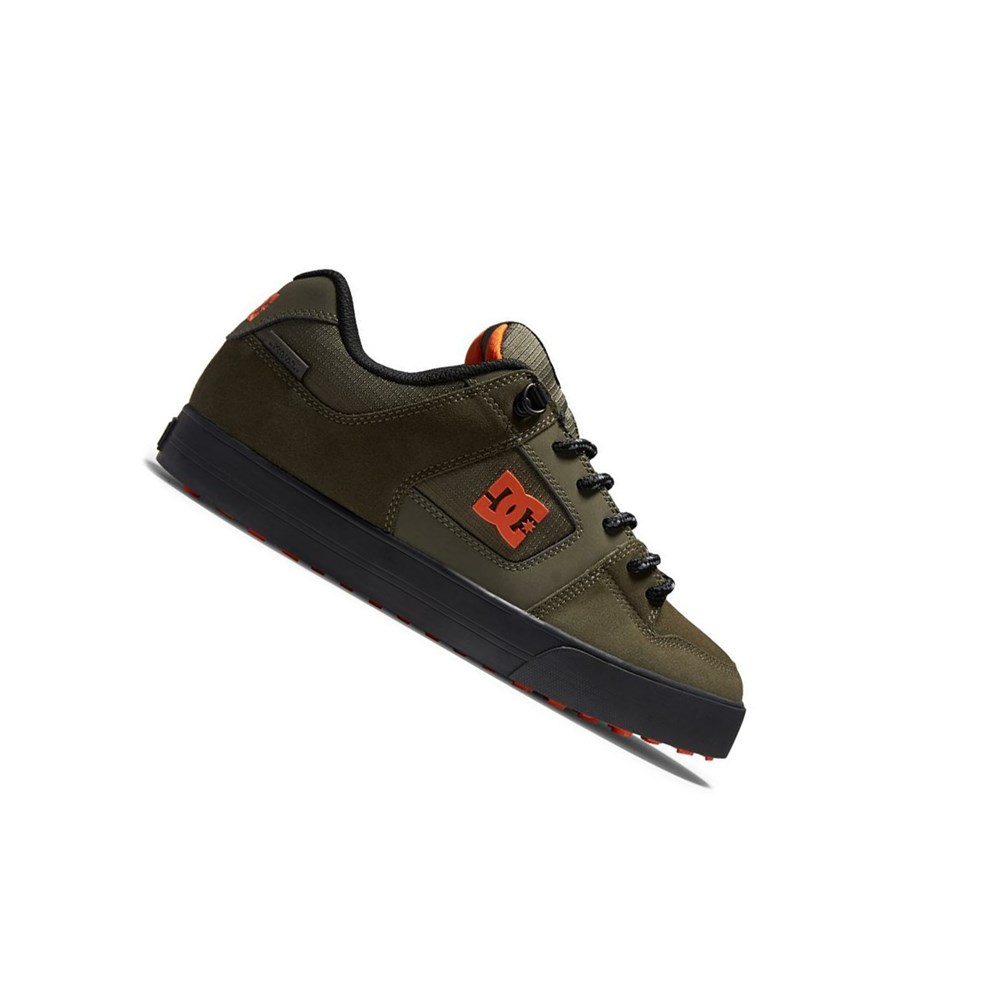 Homme Olive Orange Essentials DC Pureized - france RNP-7233339