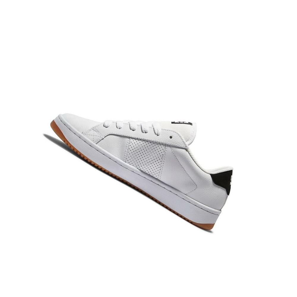 Homme White black Botte Hiver DC Striker - france PSQ-0014271