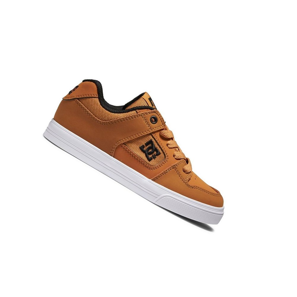 Enfant Marron Chaussure Skate DC Pure - france QTO-3057041